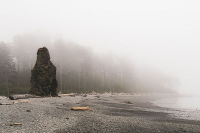 Scenic view of rocks in forest against sky