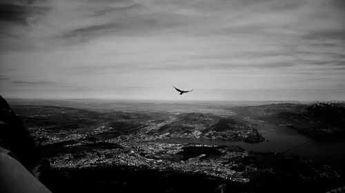 Bird flying over sea against sky