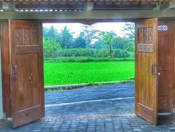 Closed wooden gate