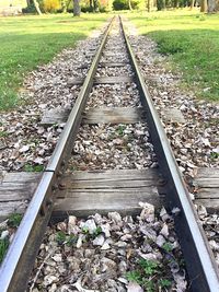 Railroad tracks amidst trees