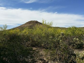 Scenic view of landscape against cloudy sky