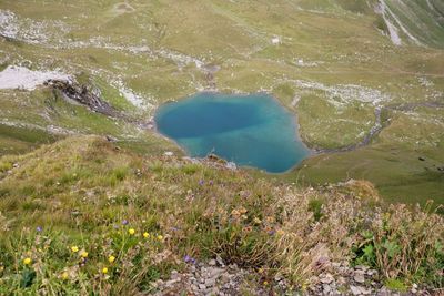 High angle view of water