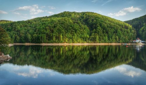 Scenic view of lake by trees against sky