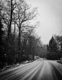 Empty road along trees