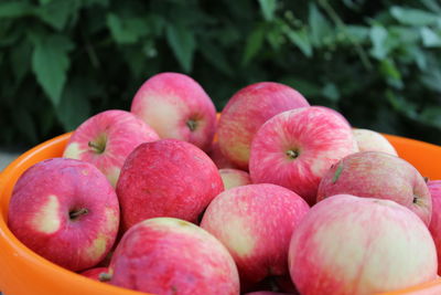 Close-up of apples in market