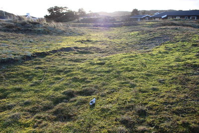 High angle view of man on field
