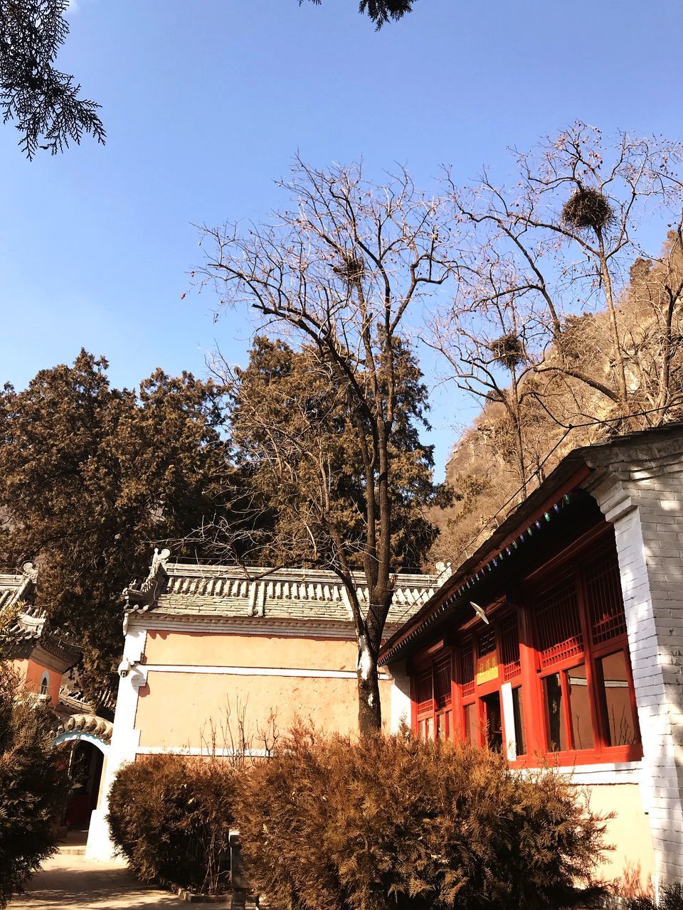 LOW ANGLE VIEW OF BUILDING AND TREES AGAINST SKY