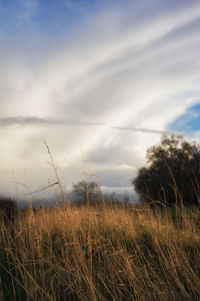 Scenic view of field against cloudy sky