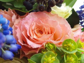 Close-up of rose bouquet