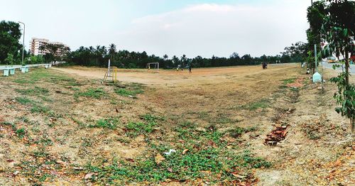 Trees on field against sky