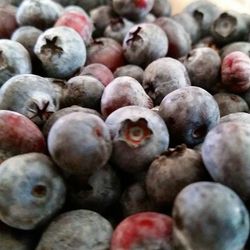 Close-up of fruits in market