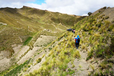 Rear view of people walking on trail