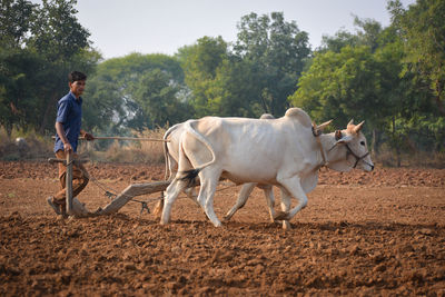 Full length of man standing on field