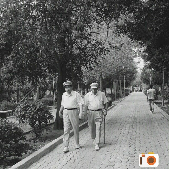 tree, lifestyles, full length, rear view, leisure activity, casual clothing, togetherness, men, walking, the way forward, bonding, person, love, transportation, street, road, day, footpath