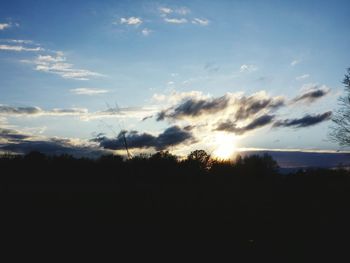 Silhouette of trees at sunset