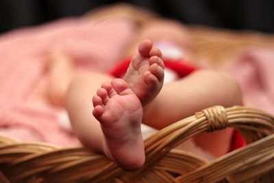 Low section of baby feet in basket