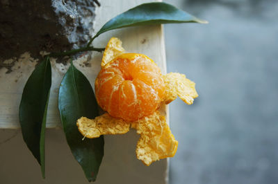 Peeled orange creations so you can see the inside 