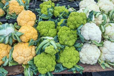 Full frame shot of cabbage