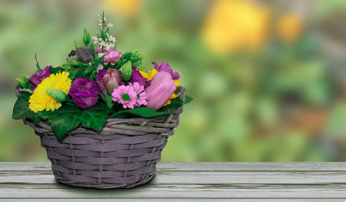 Close-up of pink flower pot on table