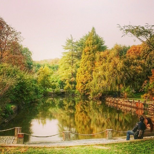 tree, water, lifestyles, leisure activity, men, lake, tranquility, clear sky, person, nature, beauty in nature, tranquil scene, scenics, reflection, growth, grass, sky, sitting