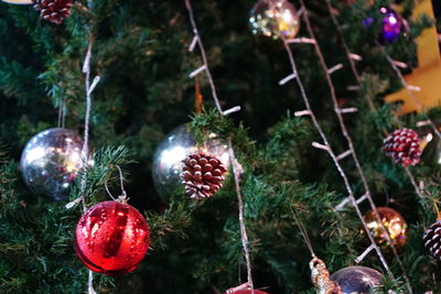 Close-up of christmas decoration hanging on tree