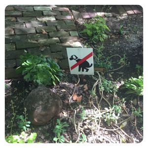 Close-up of road sign against plants