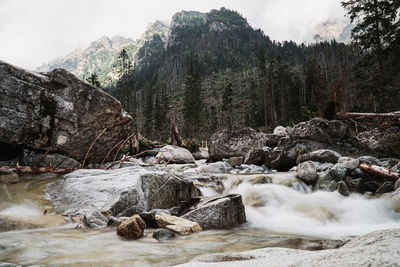 A rocky river with green mountains in the slovakia high tatra