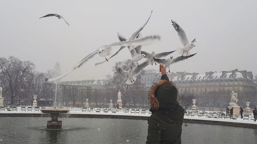 Rear view of person feeding birds while standing by lake against sky during winter