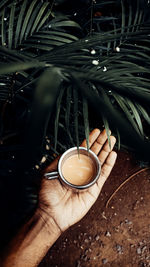 High angle view of hand holding coffee