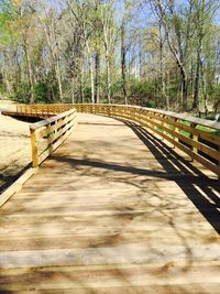 Footbridge in forest