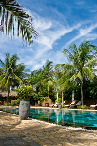 Palm trees on beach