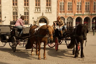 Horse cart in city