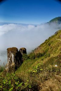 Scenic view of rocks on field against sky