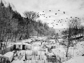 High angle view of trees and houses on snow covered field against sky