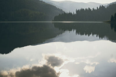 Scenic view of lake by trees against sky