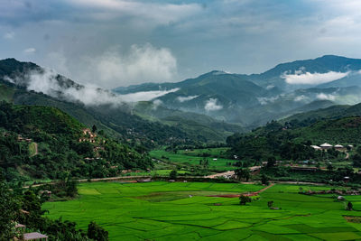 Scenic view of agricultural field against sky