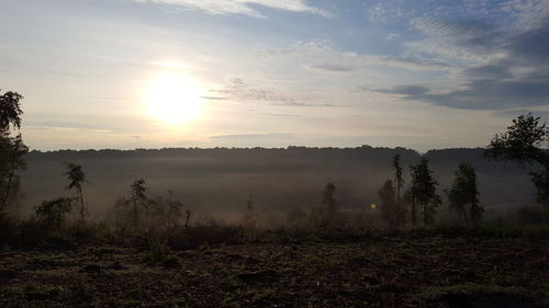 Sunset over grassy field
