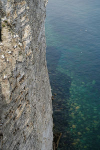 High angle view of rocks by sea