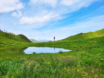 grassland