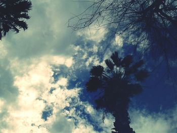 Low angle view of tree against cloudy sky