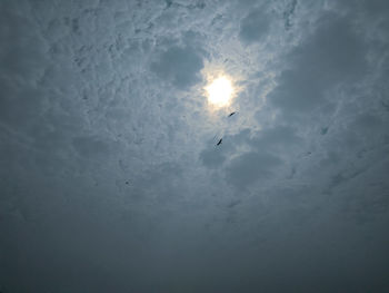 Low angle view of bird flying in sky