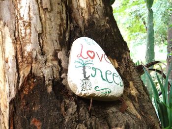 Close-up of heart shape on tree trunk