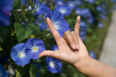 Cropped hand of woman gesturing horn sign by purple flowering plants