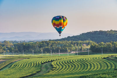 Hot air balloons flying over field against sky