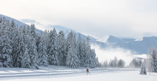 Panoramic view of snow covered mountains against sky