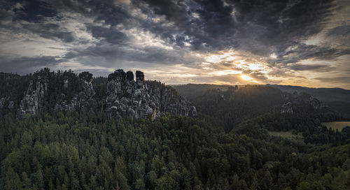 Scenic view of forest against sky during sunset