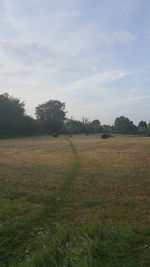 Scenic view of field against sky