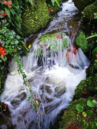 High angle view of waterfall in forest