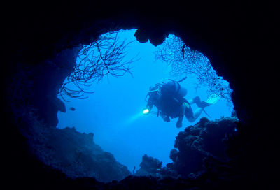 Man scuba diving in sea