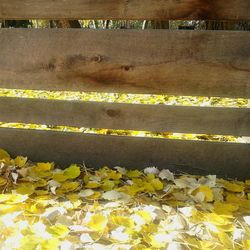 Information sign on wall